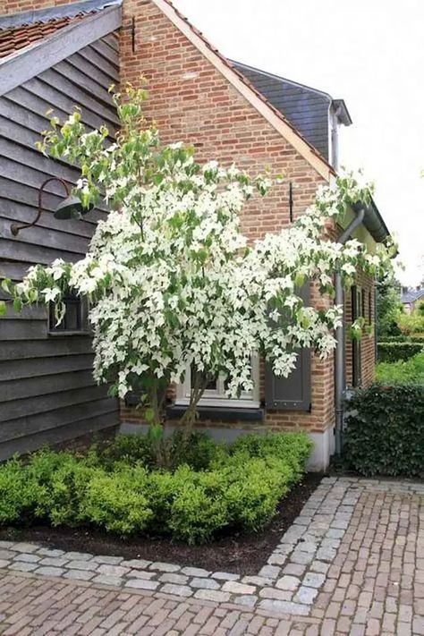 Small Cottage Garden, Corner Landscaping, Small Cottage Garden Ideas, Cottage Garden Ideas, Small Courtyard, Ideas For Backyard, Back Garden Design, Corner Garden, Small Cottage