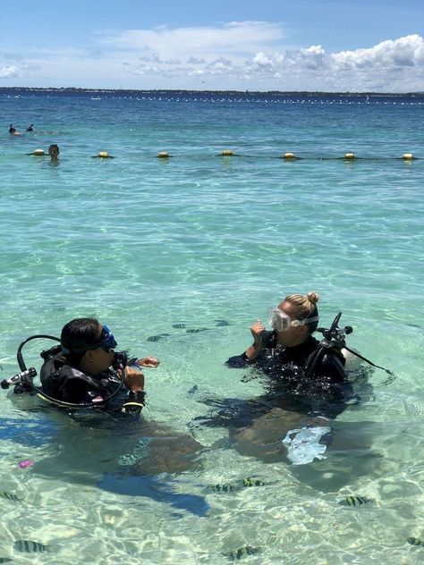 Oceanography Marine Biology, Mactan Cebu, Scuba Diving Lessons, Diving Lessons, Fun Holidays, Wildlife Biologist, Cebu Philippines, Marine Biologist, Marine Conservation