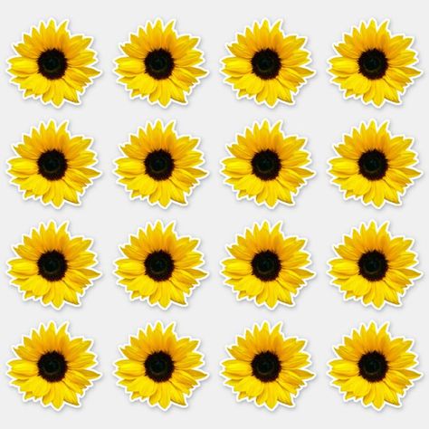 16 Yellow Sunflower Flower Kiss-Cut Stickers #affiliate , #spon, #Flower#Kiss#Cut#Sunflower Sunflower Printable, Embroidered Patch Diy, Sunflower Illustration, Waterslide Decal Paper, Sunflower Baby Showers, Orange Sunflowers, Sunflowers Background, Sunflower Photo, Sunflower Wallpaper