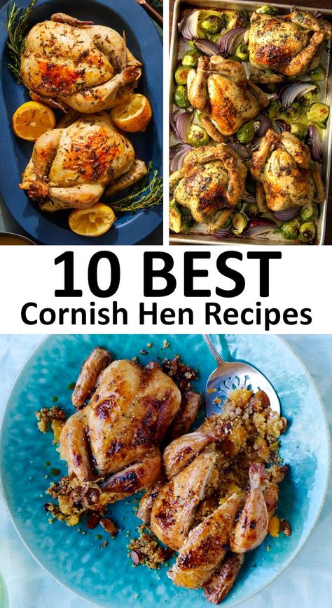 Cornish Hen Beer Can Recipe, Cornish Chicken Recipes, Cornish Hen Dutch Oven Recipe, Brine Cornish Hens, Roasted Cornish Game Hens, Rock Cornish Hens Recipes, Spatchcock Cornish Game Hen Recipes, Roasted Cornish Hens Oven, Cornish Hen Dinner Ideas