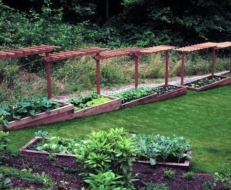 Unique Raised Garden Beds, Garden Plant Markers, Vegetable Garden Beds, Raised Vegetable Gardens, Lake Garden, Vegetable Bed, Garden Vines, Sloped Garden, Dream Yard