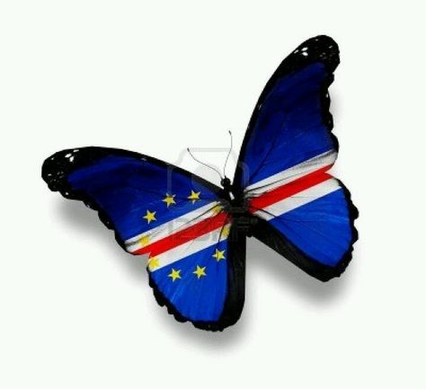 Cape Verdean flag Cape Verdean Tattoo, Cape Verde Tattoo Ideas, Cape Verdean Flag, Cape Verde Flag, Cape Verde Islands, Forarm Tattoos, Cap Vert, Cabo Verde, Tattoos For Black Skin