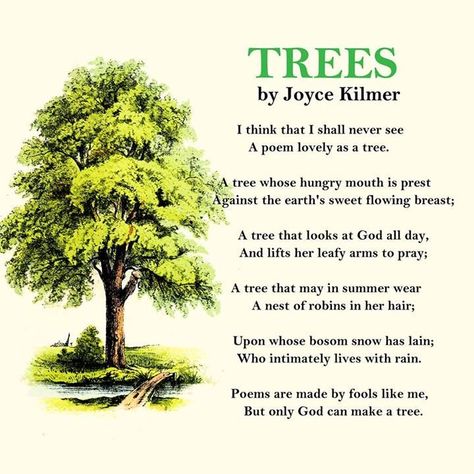 Joyce Kilmer - Trees- Poem - found on Bing Nature, Earth Day Slogans, Short Nature Quotes, Nature Quotes Trees, Joyce Kilmer, Tree Poem, Poems In English, Tree Quotes, World Earth Day