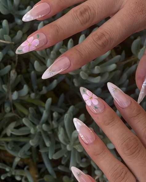 🌸 ✨Tried out some press ons! • • • #pressons #gelx #longalmondnails #floral #floralnails #pinknails Peony Nails, Long Almond Nails, Press Ons, Classy Nails, Floral Nails, Chic Nails, Pink Nails, Nail Ideas, Nail Inspo