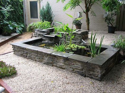 Turtle Aquarium, Outdoor Wall Fountains, Fish Pond Gardens, Court Yard, Pond Ideas, Entertainment Area, Water Gardens, Wall Fountain, Ponds Backyard