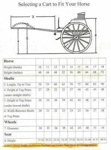 Selecting a cart to fit your horse Miniature Horse Driving, Mini Horse Cart, Pony Cart, Horse Driving, Driving Horses, Horse Farm Ideas, Horse Wagon, Mini Horses, Horse Cart