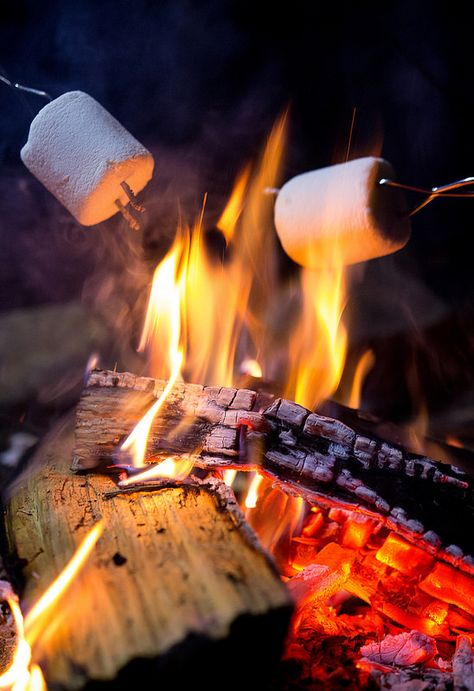 Day 313 - Campfire - A camp out is not complete without smores #photoaday #project365 #Brownies #GirlScouts #fire #Smores #Marshmallows Campfire Images, Smores Aesthetics, Campfire Photography, Tiktok Perfume, Smores Night, Marshmallow Fire, Smores Marshmallows, Campfires Photography, Campfire Aesthetic