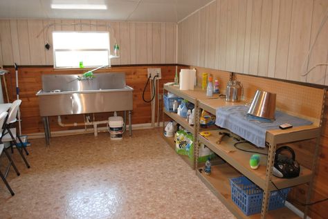 Dairy Goat Milk Parlor Goat Milking Parlor, Milk Parlor, Finance Student, Milking Parlor, Barn Organization, Goat Ideas, Parlour Design, Feed Room, Goat Milking