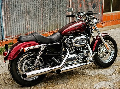 2016 Harley-Davidson® Sportster® 1200 Custom available for sale now at Harley-Davidson of Montgomery in Alabama! H-DMontgomery.com Honda Ex5 Dream, Harley Sportster 1200, Sportster Motorcycle, Hd Sportster, Harley Davidson Pictures, Harley Davidson Sportster 1200, Moto Logo, 1200 Custom, Harley Davidson Baggers