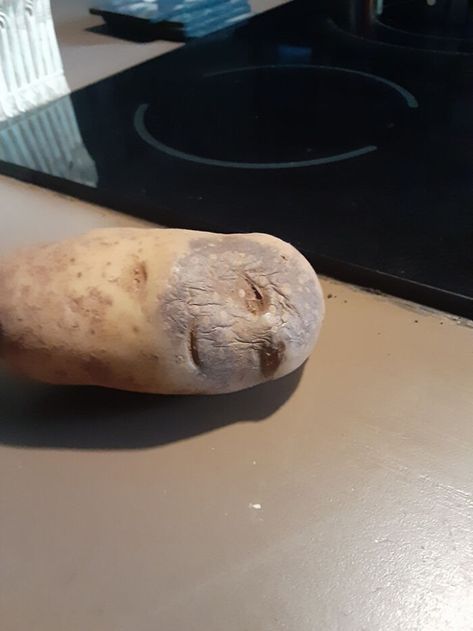 Potato Face, Mind Blowing Images, Funny Fruit, A Potato, Guys Be Like, Boiled Eggs, Mind Blown, Fruits And Vegetables, Baked Potato