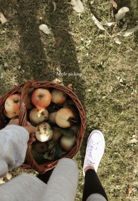 A girl holding a basket full of apples in a fall season Fall Garden Aesthetic, To Do List Fall, Fall Activity Ideas, Fall To Do List, Apple Picking Fall, Aesthetic Photo Ideas, Fall Instagram, Homestead Life, Fall Activity