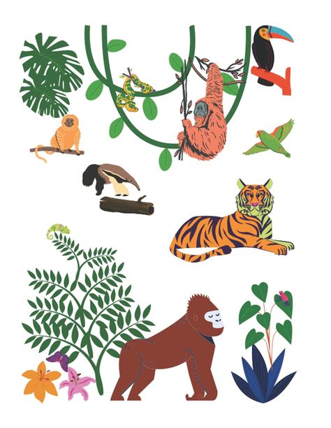 Sketchbook: Rainforest Jungle Theme Blank Pages Doodling Drawing Coloring Paperback Jungle Doodles To Draw, Jungle Sketch, Rainforest Animals Drawings, Simple Jungle Animal Drawing, Rainforest Illustration Art, Jungle Scene Illustration, Jungle Flowers, Animal Doodles, Blank Page