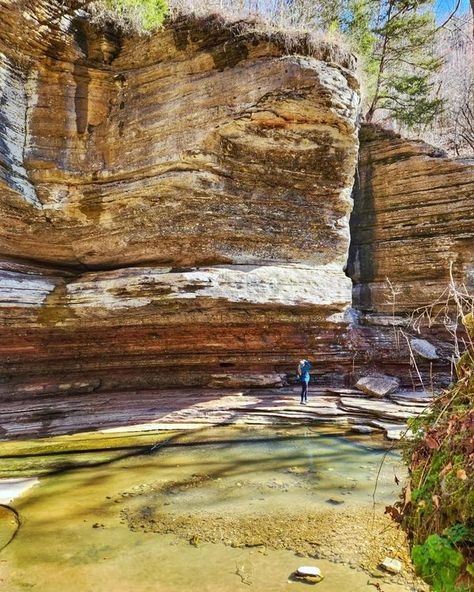 Ozark National Forest, Ozark Mountains, Mountain Life, National Forest, Most Beautiful Places, Hiking, Forest, Beautiful Places, Places To Go