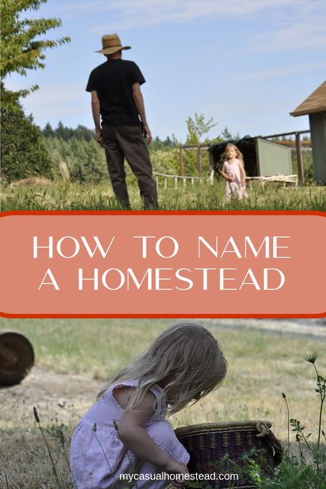 Farm Names Unique, Homestead Names Ideas, Homestead Names, Farm Names Ideas, Farm Name Generator, Farm Names, Small Homestead, Acre Homestead, Vegetable Farming