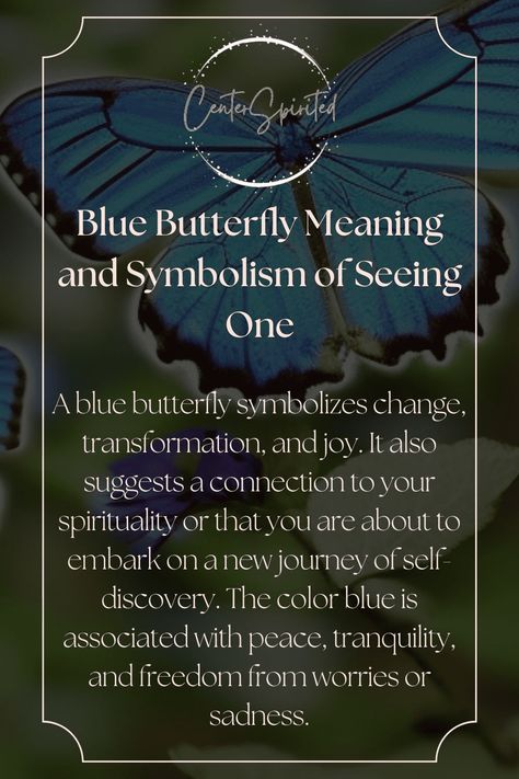 Nature, Meaning Of Blue Butterfly, Blue Butterfly Symbolism Meaning, Blue Butterfly Symbolism, Blue Butterfly Tattoo Meaning, Blue Butterfly Spiritual Meaning, Butterfly Types And Meanings, What Does A Butterfly Tattoo Symbolize, Blue Butterfly Quotes