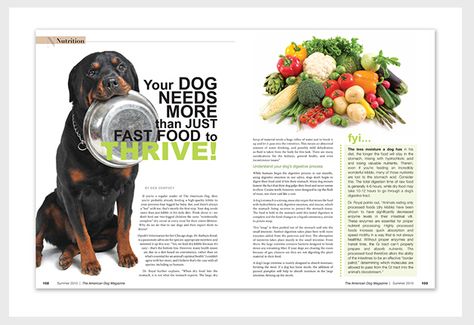 Image result for animal magazine layouts Editorial Layout Inspiration, Pet Magazine, Animal Magazines, Magazine Design Inspiration, Graphic Layout, 잡지 레이아웃, Dog Magazine, Magazine Layouts, Editorial Design Layout