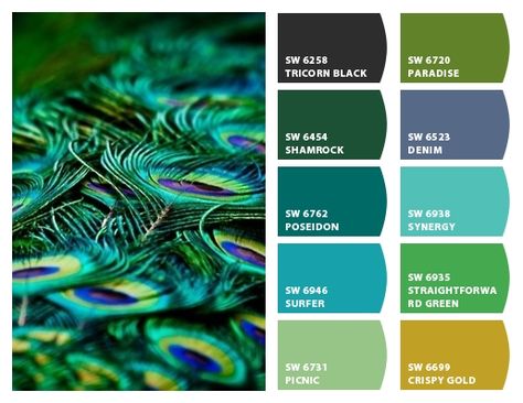 PEACOCK FEATHERS Paint colors from Chip It! by Sherwin-Williams. More Egyptian color and Peacock pins at https://www.pinterest.com/yrauntruth/home-egyptian/ and https://www.pinterest.com/yrauntruth/home-peacock-room-its-colors/ Teal Color Palettes, Color Palette For Home, Peacock Room, Teal Color Palette, Peacock Colors, Peacock Color, Feather Painting, Design Seeds, Decoration Inspiration