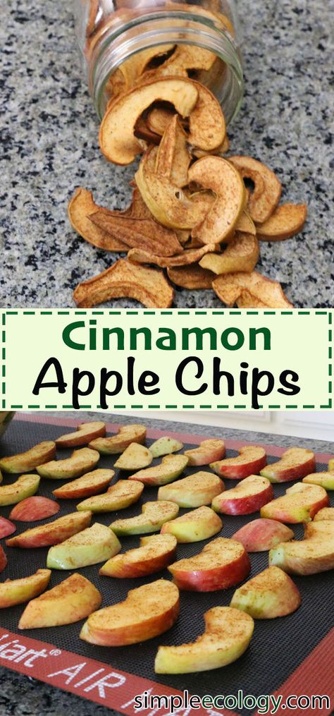 Cinnamon Apple Chips — Simple Ecology Apple Chips In Oven, Red Delicious Apples Recipes, Cinnamon Apple Slices, Apple Recipes Easy Healthy, Cinnamon Apple Chips Baked, Oven Baked Apple, Dried Fruit Recipe, Apple Chips Recipe, Dehydrated Apples