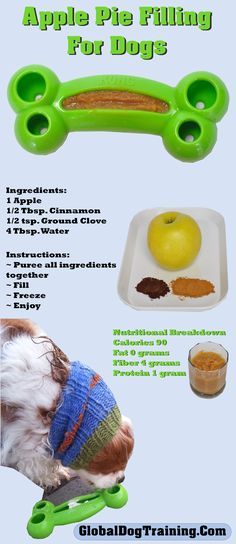 Apple Pie Smoothie-Kong/Hollow Toy Recipe. Looking for a healthy, low-calorie Kong recipe? Click through to read about the health benefits of this dog recipe. Kong Fillers, Kong Recipe, Puppy Planning, Kong Treats, Kong Stuffing, Recipes For Dogs, Frozen Recipes, Kong Recipes, Smart Dog Toys