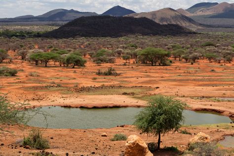 Nature, African Desert Landscape, African Jungle Aesthetic, Savannah Aesthetic African, Savanna Aesthetic, African Landscape Photography, African Savannah Landscape, Tropical Savanna, Savannah Africa