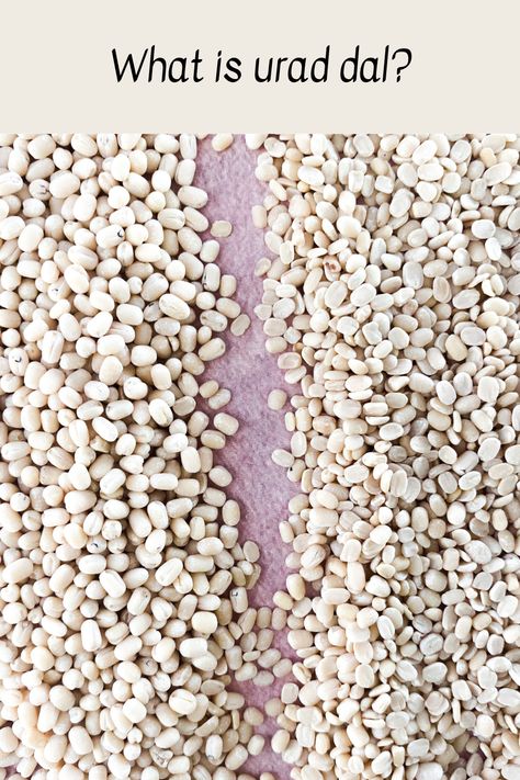 This is the comprehensive guide to urad dal. Learn about the different varieties of urad dal from urad gota to urad flour and how they are used in Indian cooking. Urad Dal, Cabbage Poriyal, Urad Dal Recipes, Lentil Recipes Indian, Masala Fries, Indian Lentils, Bone Soup, Cabbage Stir Fry, Lentil Burgers