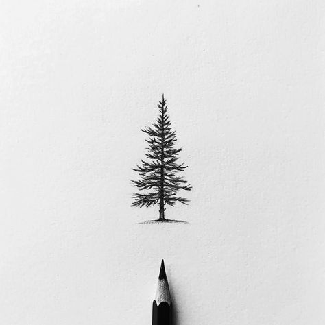 Pine Tattoo Design, Wa State Tattoo, Tree And Birds Tattoo, Fir Tree Tattoos, Juniper Tree Tattoo, Tree Tattoo Sketch, Fine Line Pine Tree Tattoo, Nerve Tattoo, Simple Pine Tree Tattoo