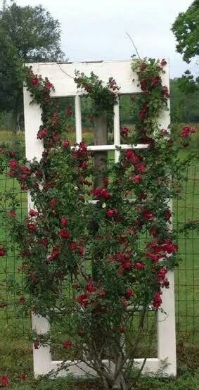 Door trellis love this Door Trellis, Yard Door, Diy Arbour, Yard Privacy, House Yard, Yard Lights, Old Door, Old Doors, Yard Work