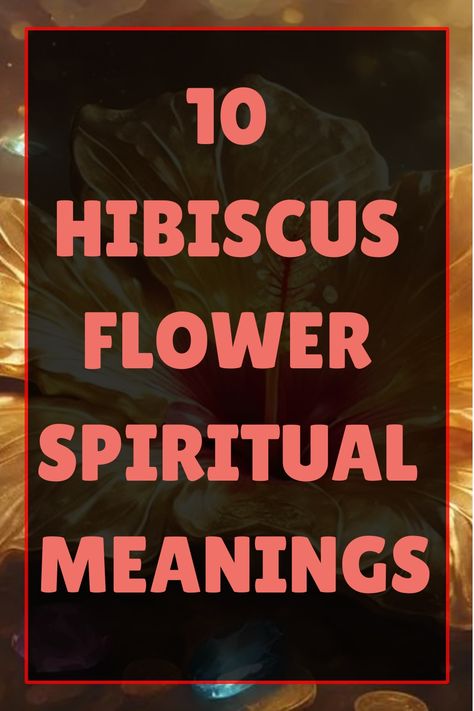 Immerse yourself in the spiritual significance of the hibiscus flower, discovering ten profound meanings that could transform your perspective on life. Hibiscus Flower Spiritual Meaning, Hibiscus Spiritual Benefits, Meaning Of Hibiscus Flower, Hibiscus Spiritual Meaning, Hibiscus Quotes, Hibiscus Meaning, Hibiscus Flower Meaning, Spiritual Herbs, Color Symbolism