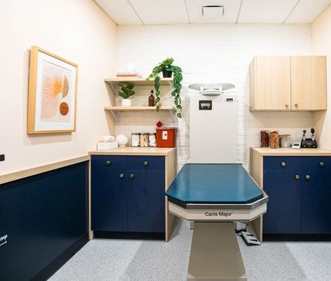 I really like the layout of the exam rooms, the dark cabinets and the dark lower wall-- it's hard to keep them clean! I like the open shelving which you don't often see Exam Room Design, Vet Pictures, Vet Office Decor, Vet Office, Astoria Queens, Vet Clinic, Clinic Interior Design, Office Remodel, Outdoor Living Design