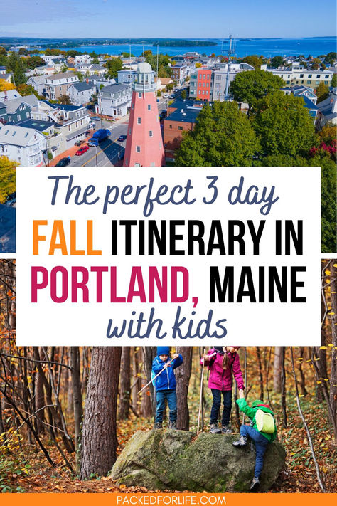 A family-friendly fall trip to Maine showing kids hiking in the autumn woods and scenic views of Portland Observatory, perfect for 3 days in Portland, Maine. Portland Maine Fall, Fall Itinerary, Maine October, Maine With Kids, Maine Fall, Fall Foilage, Maine In The Fall, Things To Do In Portland, Fall Vacation