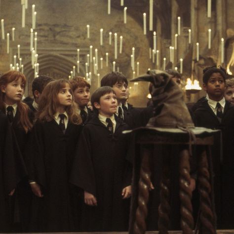 Sorting Hat Ceremony, Devon Murray, Sorting Ceremony, The Sorting Hat, Philosophers Stone, Sorting Hat, Wizarding World, Movies Showing, Put On