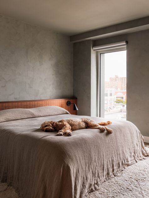 BOERUM HILL RESIDENCE — Shapeless Studio Headboard And Side Tables, Shapeless Studio, Limewash Walls, Custom Wardrobe, Lime Wash, Built In Bed, Primary Suite, Headboard Wall, Wall Bookshelves