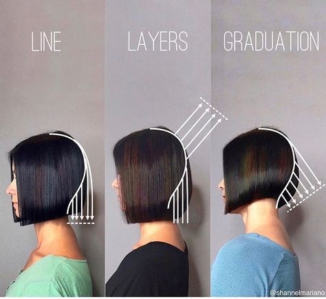 Bob techniques. Blunt bob. Layered bob. Graduated bob @shannelmariano Haircut Diagram, Layered Bob, Penteado Cabelo Curto, Bob Haircut, Grunge Hair, About Hair, Bobs Haircuts, Bob Hairstyles, Human Hair Wigs