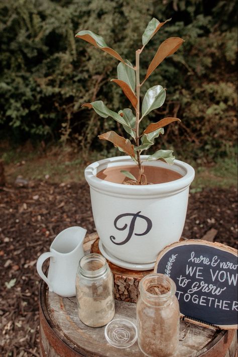 Wedding Tree Unity Ceremony, Unity Plant Ceremony Wedding Trees, Potted Plant Wedding Ceremony Decor, Tree Ceremony Wedding Unity, Cute Unity Ideas For Wedding, Wedding Ceremony Ideas Unity Unique Tree Planting, Instead Of Unity Candle Ideas, Tree Unity Ceremony Wording, Unity Tree Ceremony Script