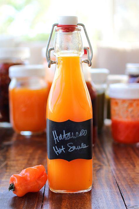 Habanero Hot Sauce - Fermented Food Lab Preserving Habanero Peppers, Fermented Habanero, Habanero Hot Sauce Recipe, Preserving Peppers, Fermenting Recipes, Habanero Recipes, Lacto Fermentation, Hot Sauce Recipe, Pepper Sauce Recipe