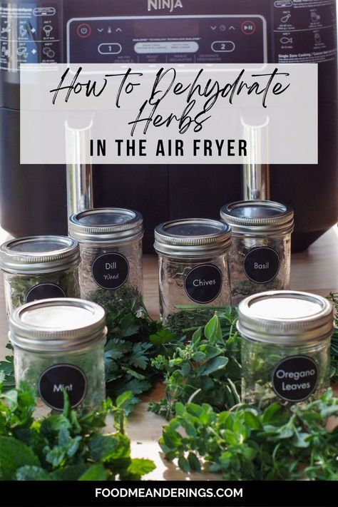 dehydrated herbs in jars with fresh herbs in front and air fryer in background Dehydrate In Air Fryer, Dehydrating In Air Fryer, Apples In Air Fryer, Dehydrate Herbs, Dehydrating Herbs, Dehydrating Apples, Air Fryer Food, Dehydrator Recipes Fruit, Drying Fresh Herbs