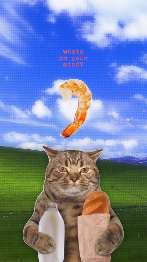 #funny #art #cat #liminal #surreal Weird Wallpaper, Funny Cat Wallpaper, Space Phone Wallpaper, Wallpaper Inspiration, Iphone Wallpaper Themes, Cat Icon, Bollywood Style, Funny Wallpaper, Art Cat