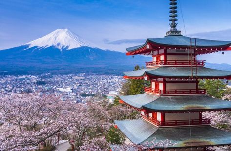 Japan Travel Destinations, Day Trips From Tokyo, Tokyo Tour, Monte Fuji, Mont Fuji, Tokyo Skytree, Tsukiji, Bus Tour, Yamanashi