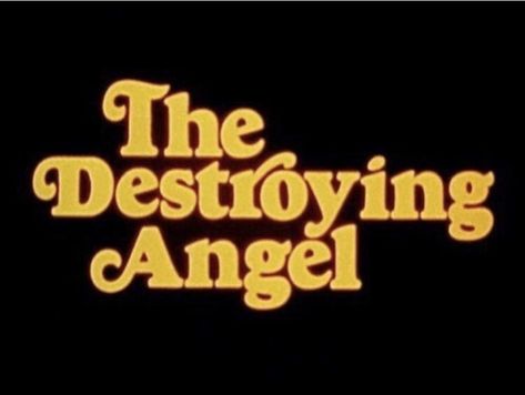 Destroying Angel, Angel, Orange, Yellow, Black