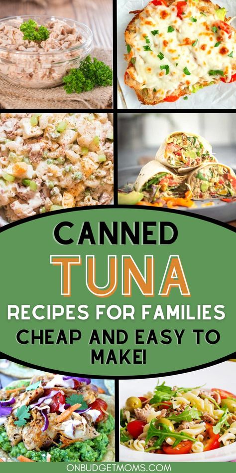 Recipes With Canned Tuna, Can Tuna Recipes Healthy, Tuna Recipes Canned, Tinned Tuna Recipes, Tuna Dinner Recipes, Canned Fish Recipes, Tuna Lunch, Easy Tuna Recipes, Healthy Tuna Recipes