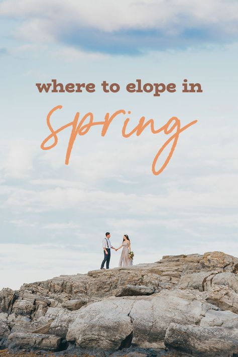 The very best places to go for your spring elopement or microwedding! Spring Elopement Ideas, Spring Elopement, Where To Elope, Outdoor Elopement, Spring Outdoor, National Park Wedding, Spring Rain, California Elopement, Wedding Location