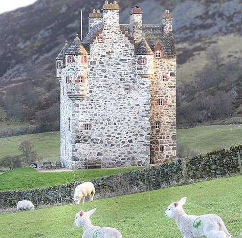 Forter Castle was built by the Ogilvys of Airlie as a fortified house in 1560. ▫️ The principal reason for construction was to fortify and… Forter Castle, Scottish Castles, Skyfall, Medieval Castle, Ancient Architecture, Scotland, Castle, Architecture, Building