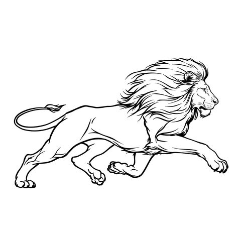 How to Draw Realistic Lions in Different Poses: 14 Drawing Guides in 1 - Sketchok easy drawing guides Lion Tattoo Stencil, Lion Drawing Easy, Lion Drawing Simple, How To Draw Realistic, Easy Drawing Guides, Lion Sketch, Tiger Drawing, Draw Realistic, Lion Drawing