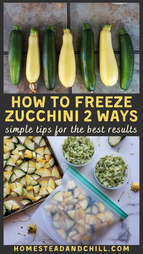 Freezing Sliced Zucchini, Recipes To Use Up Zucchini, Zucchini Recipes From Frozen, Summer Squash Storage, How To Freeze Fresh Zucchini, Can I Freeze Zucchini, Best Way To Preserve Zucchini, Freezing Zucchini Without Blanching, How To Use Summer Squash