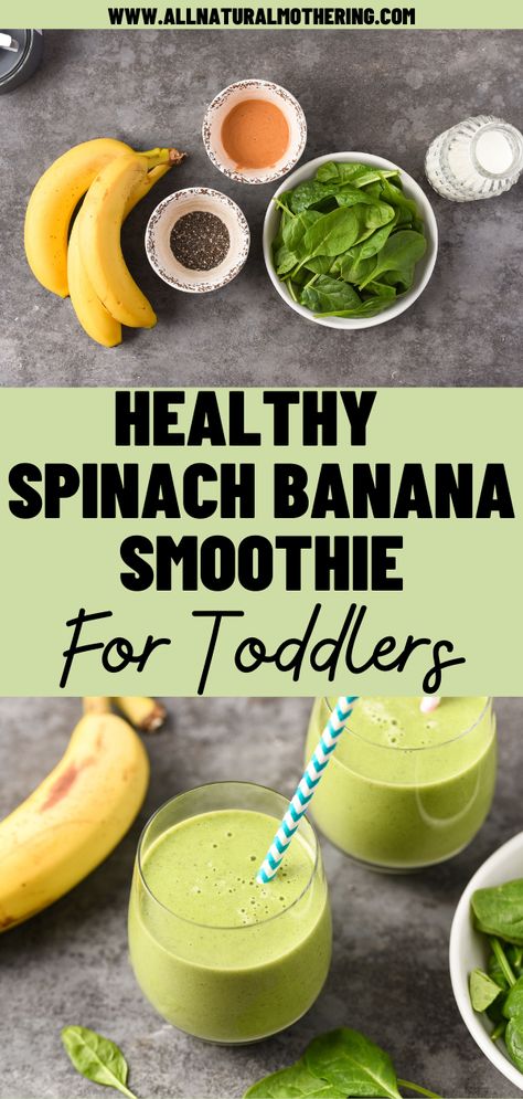 green smoothie Banana Spinach Peanut Butter Smoothie, Spinach Breakfast Smoothie, Spinach Smoothie Recipes For Kids, Smoothie With Spinach And Fruit, Baby Spinach Smoothie Recipes, Spinach Banana Smoothie Recipes, Healthy Smoothies For Toddlers, Spinach Recipes For Toddlers, Spinach Toddler Recipes