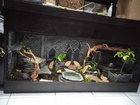 Gothic Reptile Enclosure, Bearded Dragon Apartment, Themed Snake Enclosure, Gothic Snake Enclosure, Goth Snake Enclosure, Kenyan Sand Boa Enclosure, Aesthetic Snake Enclosure, Beardie Enclosure Ideas, Diy Snake Enclosure