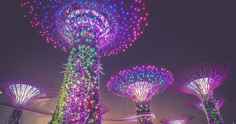 Trading volumes on DBS Digital Exchange, an institutional crypto trading platform launched by Singapore’s largest bank DBS in December, have increased tenfold over the last quarter, DBS CEO Piyush Gupta revealed in a media briefing. The post Southeast Asia’s largest bank sees tenfold crypto trading volume growth in Q1 appeared first on CryptoSlate. Singapore Things To Do, Singapore Vacation, Singapore Garden, Singapore Botanic Gardens, Indoor Waterfall, Visit Singapore, Bay Photo, Singapore Travel, Gardens By The Bay