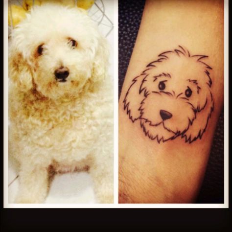 Goldendoodle Tattoo, Harley Tattoo, Labradoodle Art, Stylish Mom Outfits, Harley Tattoos, Explore Tattoo, Stylish Mom, Book Tattoo, Female Tattoo