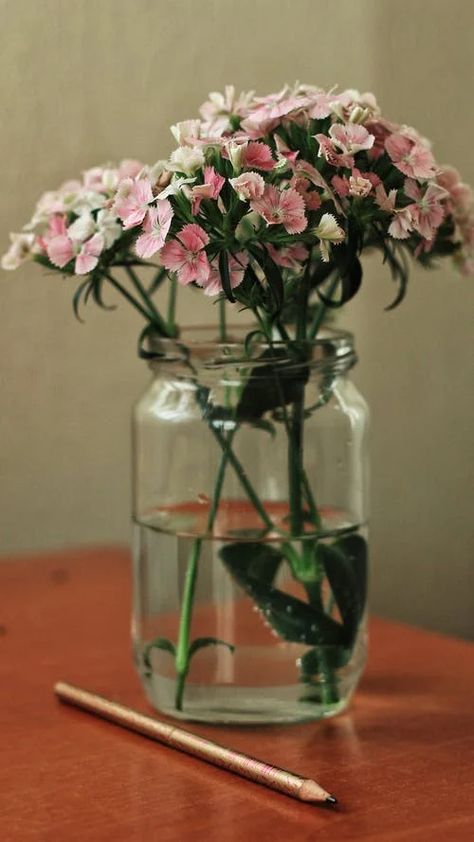 Table In Room, Jar Of Flowers, Pink Peony Flower, Painting Reference, Empty Jar, Flowers In Jars, Light Pink Flowers, Bloom Blossom, Single Flower