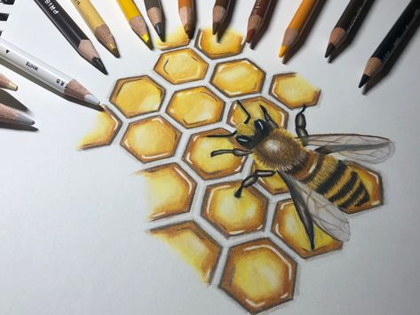 Done with Prismacolor colored pencils by @ lisas__sketchbook Bee Drawing Colored Pencil, Honeycombs Drawings, Bee Sketch, Slice Tool, Bee Drawing, Observational Drawing, 2023 Art, Bee Honeycomb, Doodle Ideas